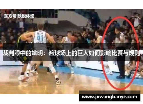 裁判眼中的姚明：篮球场上的巨人如何影响比赛与规则